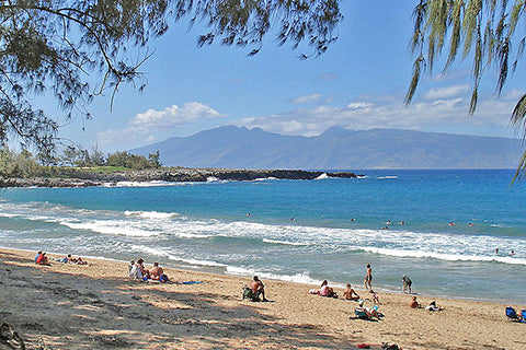 Travel Guide: Hawaii